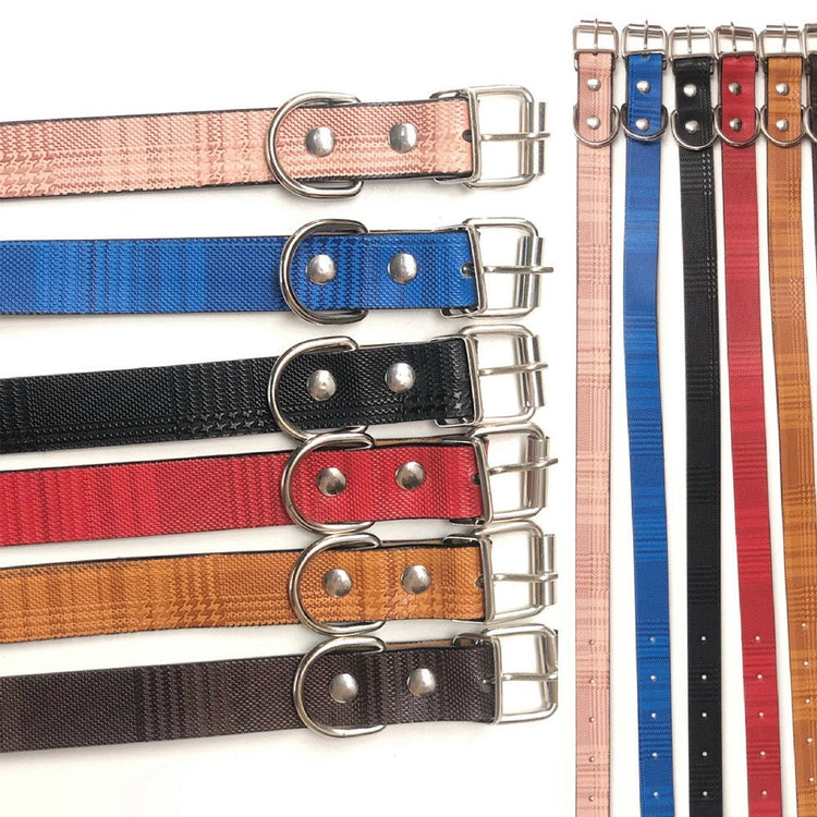 Pet Collar