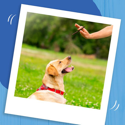 BAKERS Rewards Dog Treats