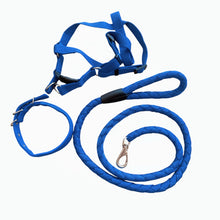 Size L 3pc Strong Nylon Rope Dog Lead Leash Collar Chest Back Harness Set