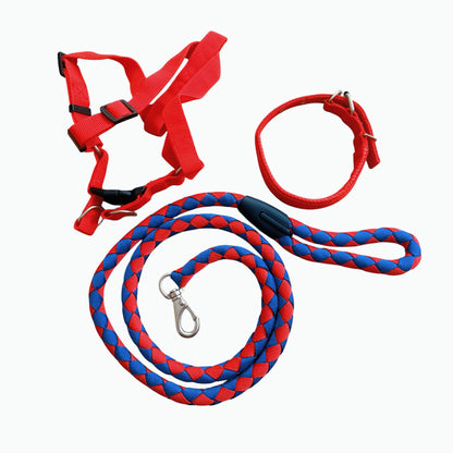 Size L 3pc Strong Nylon Rope Dog Lead Leash Collar Chest Back Harness Set