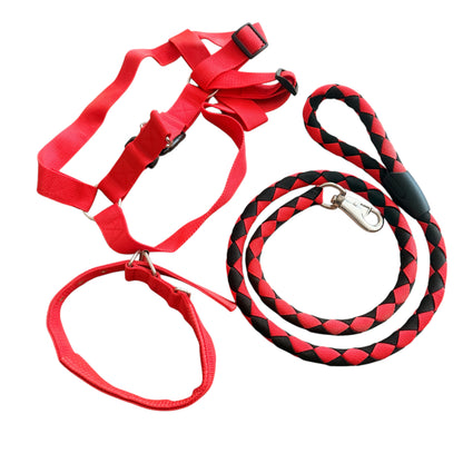 Size XXL 3pc Strong Nylon Rope Dog Lead Leash Collar Chest Back Harness Set