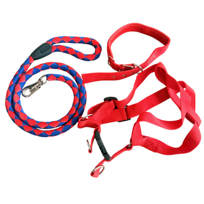 Size XXL 3pc Strong Nylon Rope Dog Lead Leash Collar Chest Back Harness Set