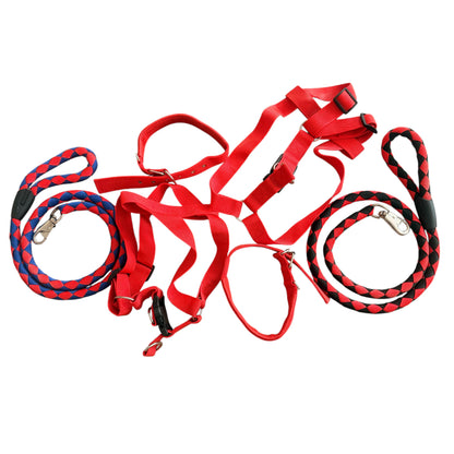 Size XXL 3pc Strong Nylon Rope Dog Lead Leash Collar Chest Back Harness Set