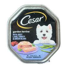 CESAR Garden Terrine Dog Food With Juicy Lamb Turkey And Green Beans Tray in Loaf 150g