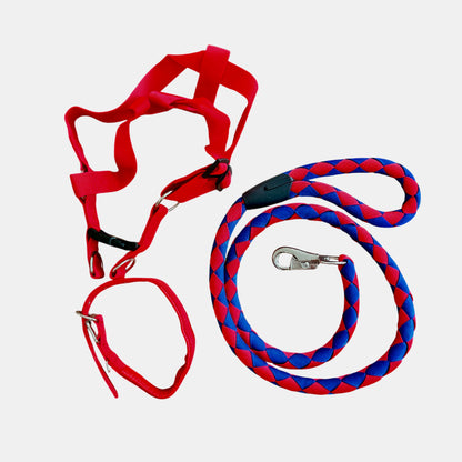 Size XL 3pc Strong Nylon Rope Dog Lead Leash Collar Chest Back Harness Set