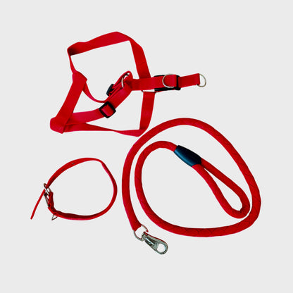 Size XL 3pc Strong Nylon Rope Dog Lead Leash Collar Chest Back Harness Set