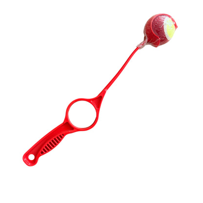 Toy Ball Tossing Stick Dog Ball Launcher Thrower