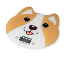Casa And Casa Electronic Kitchen Scale