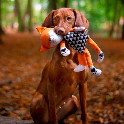 ROSEWOOD Mr Fox Dog Toy