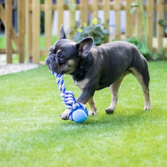 ROSEWOOD Twistable Tennis Ball Dog Tug