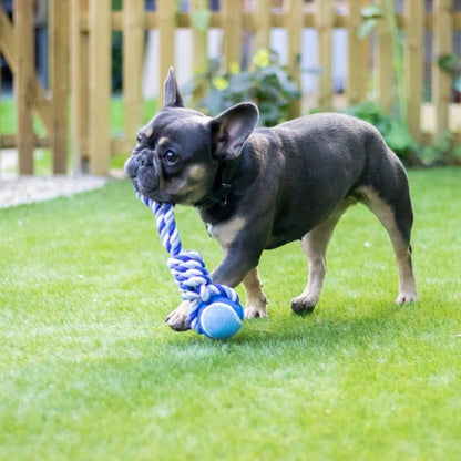 ROSEWOOD Twistable Tennis Ball Dog Tug