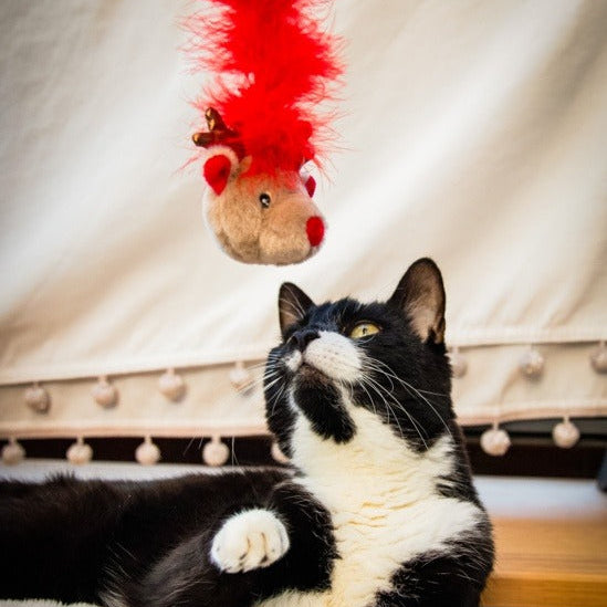 ROSEWOOD Roxy Reindeer Feather Teaser Cat Toy