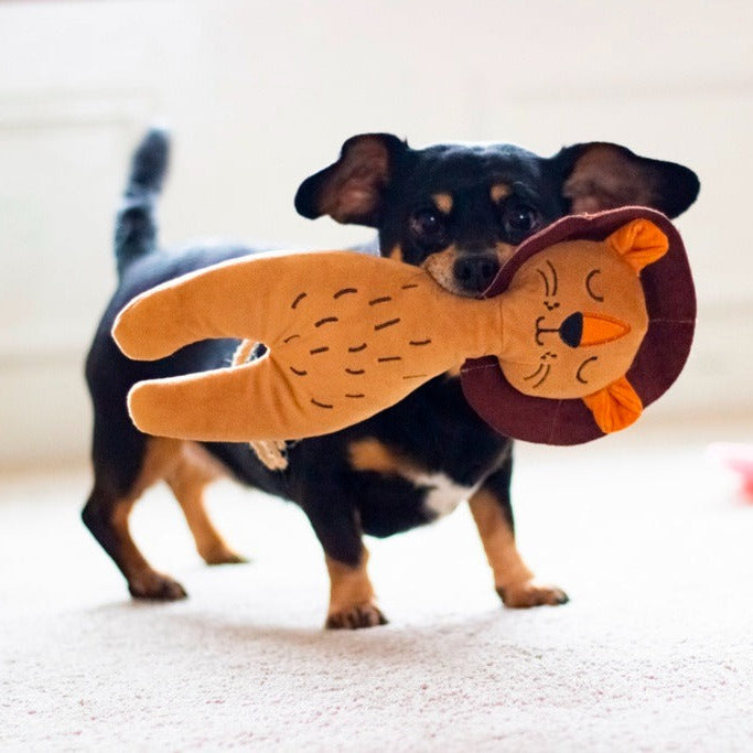 ROSEWOOD Eco Friendly Lion Dog Toy