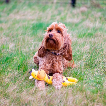 ROSEWOOD Eco Friendly Giraffe Dog Toy