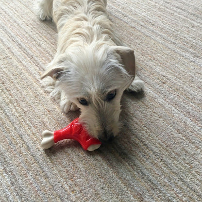 ROSEWOOD Meaty Chicken Leg Dog Toy Small