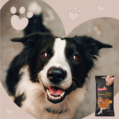 ROSEWOOD Chewy Sticks With Chicken Dog Treats