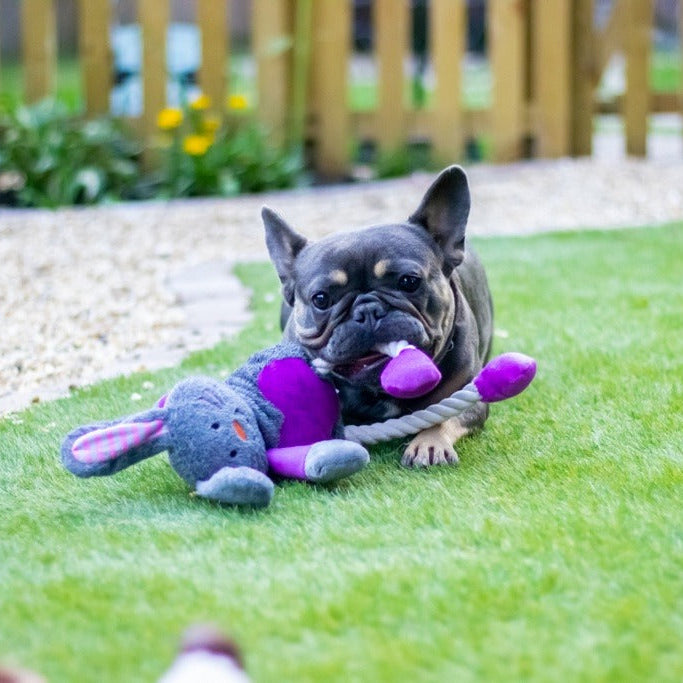 ROSEWOOD Mister Twister Ruby Rabbit Rope Dog Toy
