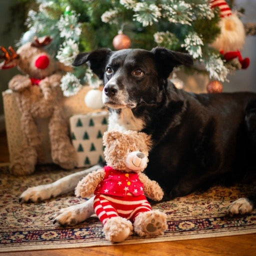 ROSEWOOD Buddy Bear