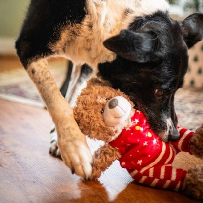 ROSEWOOD Buddy Bear