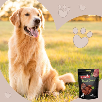 ROSEWOOD Coins Dog Treats 100g