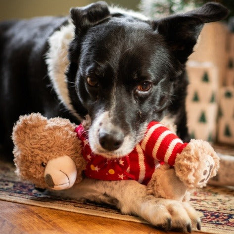 ROSEWOOD Buddy Bear