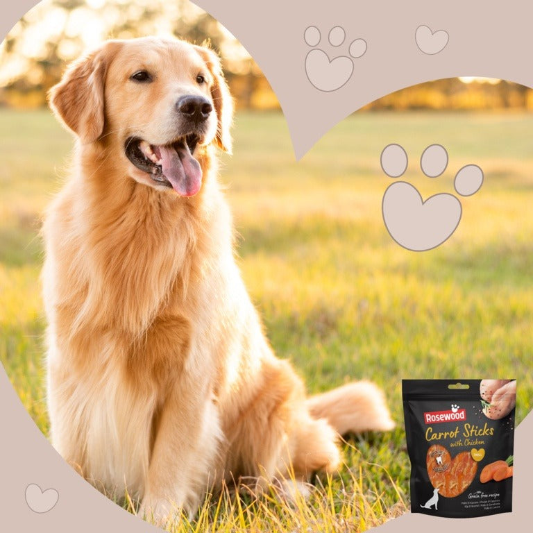 ROSEWOOD Carrot Sticks With Chicken Dog Treats