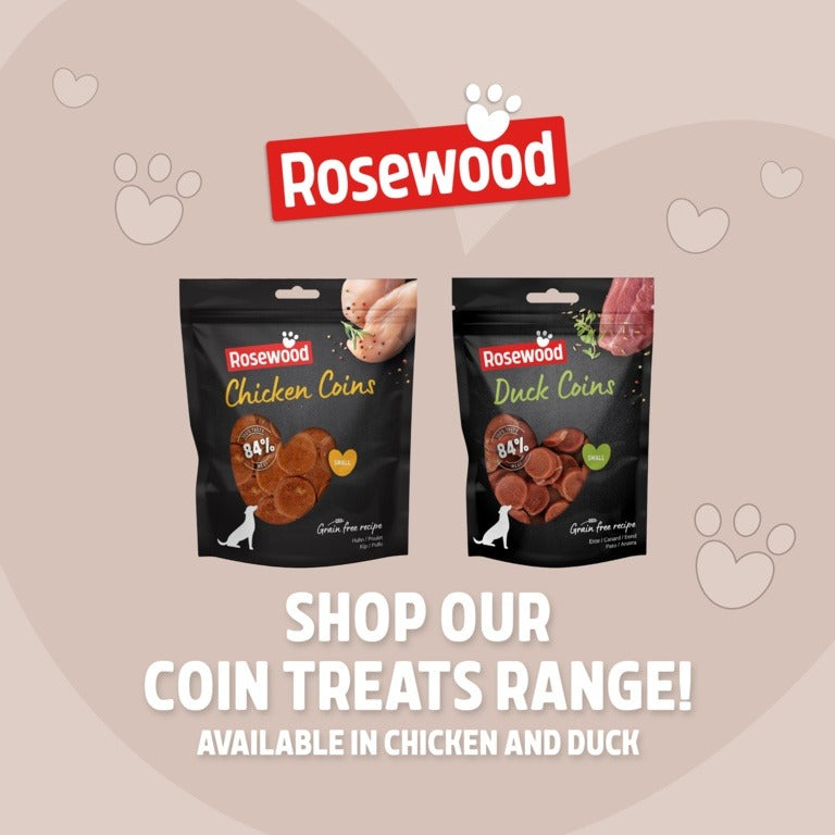 ROSEWOOD Coins Dog Treats 100g
