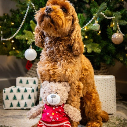 ROSEWOOD Buddy Bear