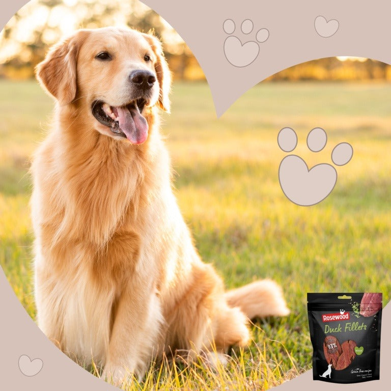 ROSEWOOD Duck Fillets Dog Treats 320g