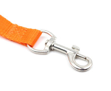 Long Dog Training Lead Colourful Puppy Leash