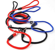 Dog Puppy Training Slip Rope Dog Lead 6mm Strong Nylon Training Walking Leash