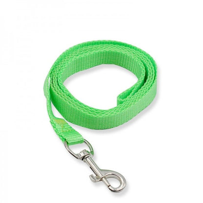 Long Dog Training Lead Colourful Puppy Leash